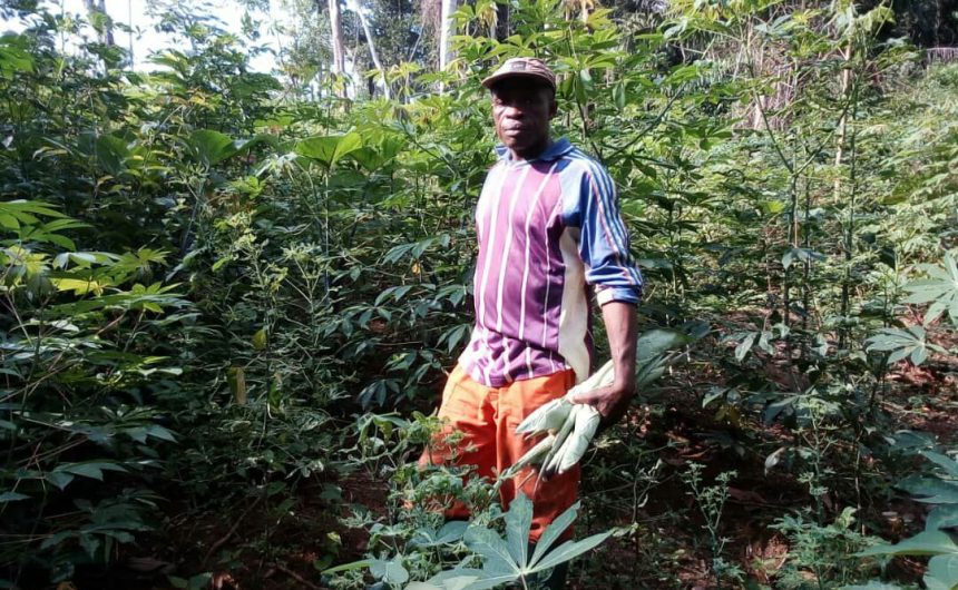 sustainable development